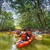 Los Haitises: Sunrise or Sunset wildlife focus - immagine 5