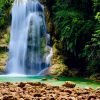 El Limón: Waterfall Tour with Lunch - 图片 4