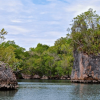 Los Haitises Boat Ride + Caño Hondo Natural Pools - Afbeelding 5