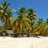 Saona Island From Punta Cana - Hình ảnh 5