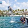 Punta Cana Dolphin Swim Adventure: 40-min Dolphin Experience - Hình ảnh 5