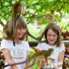 From Bayahibe: Half Day Monkeyland Safari - Hình ảnh 5