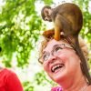 Punta Cana: Monkey Land Half-Day Safari and Plantation - 图片 2