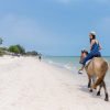 Punta Cana: Horseback Riding Through the Beautiful Beaches - Görsel 5