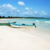 Saona Island - ¡Full Day Open Bar, Lunch and Round Trip! - Image 5