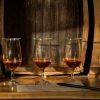 Ron Barcerló: Rum Factory Tour with Rum Tastings - 画像 (2)