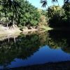 Puerto Plata: Taino Valley and Dominican Flavor Experience - Image 6