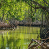 Los Haitises Boat Ride + Caño Hondo Natural Pools - Afbeelding 6