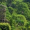 Punta Cana: Zip-Lining 12 Cables - Image 6