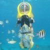 Scuba Doo - Diving Scooters in Punta Cana - Image 6