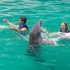 Punta Cana Dolphin Swim Adventure: 40-min Dolphin Experience - Hình ảnh 6