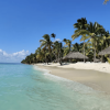 Excursion to Saona Island: Tropical Paradise whit Lunch - Image 10