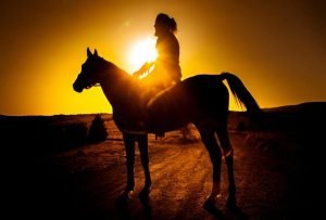 Punta Cana: Sunset Horseback Ride in Macao Beach and Forest