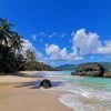 Punta Cana:7 Playas Walking Tour+Casa Tipica Lunch Included - Image 2