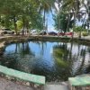 Learn about the History of Bayahibe and Bathe in 7 Springs - Зображення 6