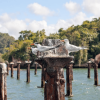 Los Haitises Boat Ride + Caño Hondo Natural Pools - Afbeelding 7