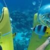 Scuba Doo - Diving Scooters in Punta Cana - Image 7