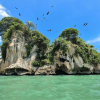 Los Haitises Boat Ride + Caño Hondo Natural Pools - Afbeelding 8