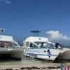 Party Boat with Snorkeling and Open Bar in Punta Cana - Image 2