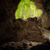 Los Haitises Boat Ride + Caño Hondo Natural Pools - Afbeelding 9