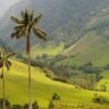 Punta Cana: Higuey, Coffee and Cocoa Tasting Tour with Lunch - Image 10