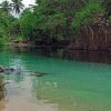 Adventure in Buggies in Playa Rincón from Samaná - immagine 8