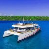 ⁦PARTY BOAT WITH OPEN BAR CATAMARAN CRUISE PUNTA CANA⁩ - الصورة ⁦9⁩