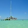 Saona Island From Punta Cana - Hình ảnh 2