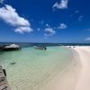 Excursion to Saona Island: Tropical Paradise whit Lunch - immagine 6