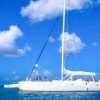 Bayahibe: Full-Day Saona Island Excursion - Hình ảnh 11