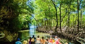 3in1: Los Haitises N P + Yanigua Waterfall + Montaña Redonda