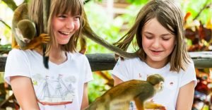 Punta Cana: Monkey Land Half-Day Safari and Plantation