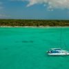 Catalina island snorkel with Food and drinks (Full Day) - Image 2