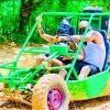 Punta Cana Thrilling Buggy Tours on the Beach with Guide - Image 3