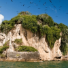 From Samana: Los Haitises Boat and Walking Tour with Lunch - Image 5