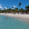 Catalina island snorkel with Food and drinks (Full Day) - Image 3