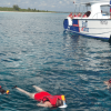 Punta Cana: Catalina Island Snorkeling Tour with Lunch - Image 6