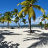 ⁦Punta Cana: Full Day Excursions Samana Island Bacardi⁩ – תמונה ⁦9⁩