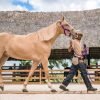 Punta Cana: Xploration Animal Park Bus Tour with Encounters - Image 4