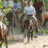 From Punta Cana: Samana Cayo Levantado & Whales - Image 6