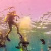 La Romana: Catalina Island Full-Day Snorkeling Tour - Image 6