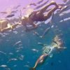 La Romana: Catalina Island Full-Day Snorkeling Tour - Image 8